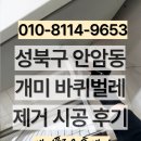 플로우케어 | 성북구 안암동 입주방역, 개미·바퀴벌레제거 완벽 차단! 케어플로우 홈케어 시공 후기