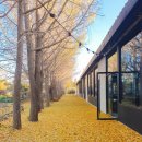 통일로1267번길 이미지