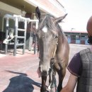 통산2목장 이미지