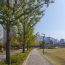 부산 시민공원 이미지