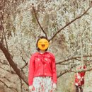 [사진기록] 니콘 FM2 필름카메라 / 코닥 프로이미지 ISO 100 필름 현상스캔 후기 / 국내여행 필름사진