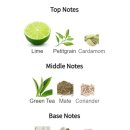 레몬트리 이미지