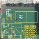 동광초등학교 아이들이 키가 크고 건강할 수밖에 없네! 제주 천연(친환경) 페인트로 정식 피구 농구...