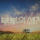 부부의 세계 이미지