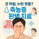 공간정리전문가(목) | 코 막힘, 누런 콧물… 축농증(부비동염) 완벽 치료 가이드: 증상부터 수술 후기까지!