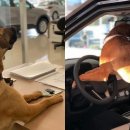 기다리다 이미지