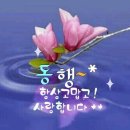 (주)그린투 | 평택작은이사 이사룸 포장이사를. 현장 팀장 채험 느낌 실감후기