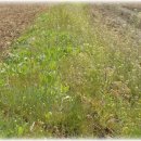 논두렁밭두렁 이미지