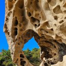 조은사람들 이미지