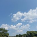 포천 허브아일랜드 라벤더, 데이지 축제 주차 가격 정보 리얼 솔직후기