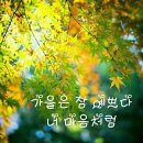 까망 이미지