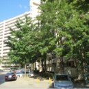 수정-106 이미지