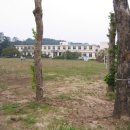 현천초등학교 이미지