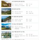 동신할인마트 이미지