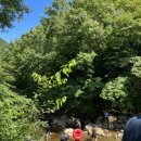 회두민박 이미지