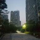 서초힐스아파트 앞 이미지