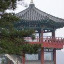 세종문화사 - 보은군 | 세종문화사