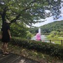 은영야채
