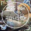 피크니크 이미지