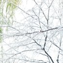 성내천로 이미지