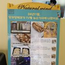 삼육사로11 | 포천 빵 맛집 완전정복｜소금빵으로 입소문 난 ‘당과당제과’