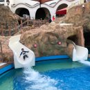 쏠비치 호텔 양양 이미지