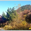 내서면 노류리 이미지