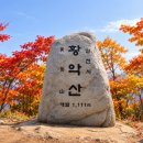 많은물소리공연장 | 김천 소개 총정리! 역사부터 김천혁신도시, 김밥축제, 부항면·유나의 정원까지 김천여행 당일코스 추천