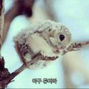 604바이제이 네이버블로그