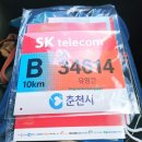 주차10 | 2025 춘천마라톤 10km 후기 주차 정보