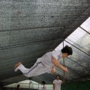 호림합기도 이미지