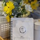 라플로르 | 라플로르드무아 서현점 솔직 후기｜디저트 커피 분위기 다 잡은 두쫀쿠 판매 카페 데이트추천