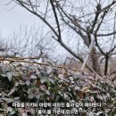 네모진