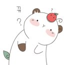 에일린 속눈썹