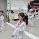용인대 소나무향기 태권도장 | 덕송어린이집, 떼쓰는 아이에게 우선적으로 필요한 것