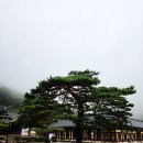 위봉사&amp;위봉폭포&amp;위봉산성 | 전북 가볼만한곳 완주 위봉사 BTS 촬영지 위봉산성 여행 후기