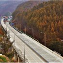 영동고속도로 이미지