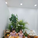 호수지구대 화장실 | 일산 온즈데이스튜디오 공간대여 셀프 촬영후기 - 일산가족사진 찍기 좋은 곳