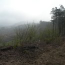 학산벌목 | 원진지맥(2구간) : 석산-학산 구간