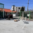 와이낫양양 이미지