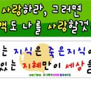 유니베라칠곡대리점