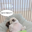 취향저견 이미지