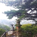 동혈사 삼층석탑 Daum카페