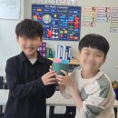 자라다plant 이미지