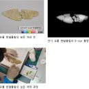검단선사박물관(3) 이미지