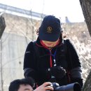썬마미 이미지