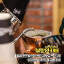 부산인가배 네이버블로그