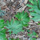 반딧불이 천문대 이미지