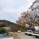 익산맛집 청기와 토종닭 백숙 닭볶음탕 추천 솔직후기 익산여행 현지인추천 로컬맛집