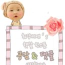 똥깡PC 이미지